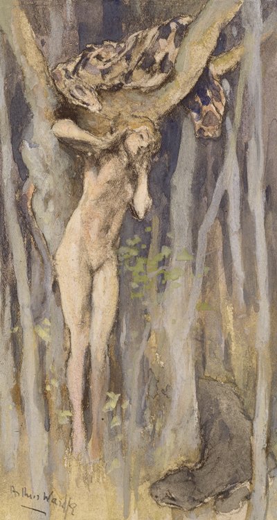 حمادريد - روح شجرة ، حوالي عام 1890 (باستيل وقلم رصاص وألوان مائية على ورق) بواسطة آرثر واردل