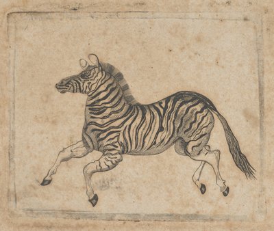 نقش الأوراق النقدية يظهر حمار وحشي ، كاليفورنيا. 1824-37. بواسطة آشر براون دوراند.