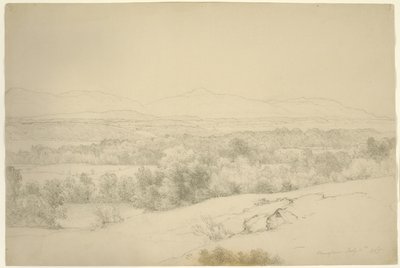 مناظر طبيعية ، Barrytown ، نيويورك ، 1865 (الجرافيت مع حشو على ورق بني) بواسطة Asher Brown Durand