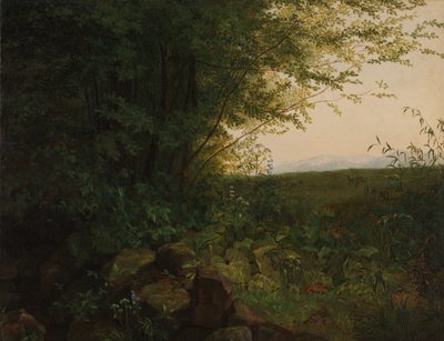 على حافة الغابة ، كاليفورنيا. 1820. بواسطة أغسطس هاينريش