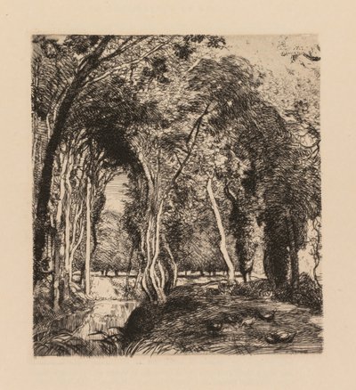 Auguste Lepère: Undergrowth ، في La Rigonette (Vendèe) بواسطة أوغست لويس ليبيري