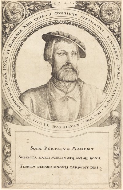 دكتور ستيفن شوارتز 1548. بواسطة أوغسطين هيرشفوغل