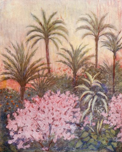 بستان نخيل في مورسيا (ليثو ملون) بواسطة أوغسطين فيتزجيرالد