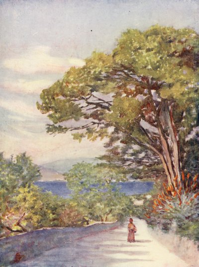 طريق في جبل طارق (طباعة حجرية ملونة) بواسطة أوغسطين فيتزجيرالد