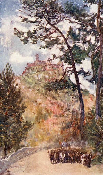 سينترا، القصر الصيفي لملك البرتغال (طباعة حجرية ملونة) بواسطة أوغسطين فيتزجيرالد