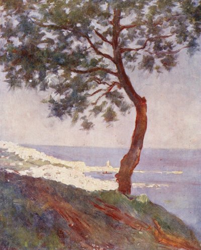 منظر للجزائر العاصمة من مصطفى سوبيريور (طباعة حجرية ملونة) بواسطة أوغسطين فيتزجيرالد