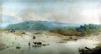 عرض في يوركشاير ، النهر والماشية ، (رسم) بواسطة أوغستس وول Callcott