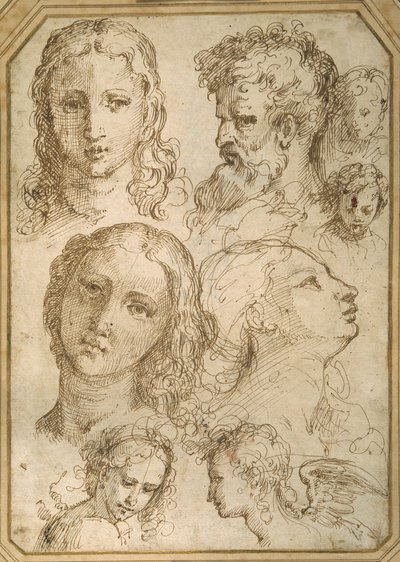 Head studies: a woman, an angel, a youth and a bearded man (pen & brown ink on white paper) بواسطة أوريليو (Attr. To) Luini