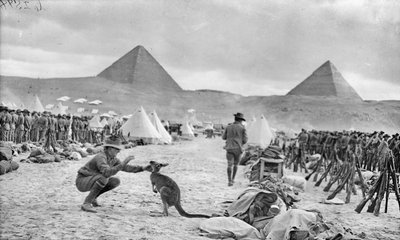 خطوط الكتيبتين التاسعة والعاشرة الأسترالية في معسكر مينا ، تطل على الأهرامات ، ديسمبر 1914 بواسطة مصور استرالي