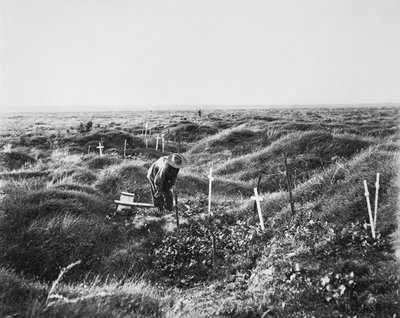 منظر القبور الأسترالية المتناثرة على طول خط OG1 في ساحة معركة Pozieres ، 16 سبتمبر 1917 بواسطة مصور استرالي