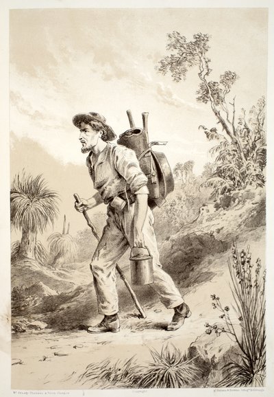 حفار على الصعلوك ، من تاريخ أستراليا بواسطة ديفيد بلير ، مكجرادي ، طومسون ونيفين ، 1879 بواسطة المدرسة الاسترالية
