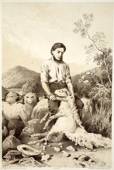 قص الأغنام ، من تاريخ أستراليا بواسطة ديفيد بلير ، مكجرادي ، طومسون ونيفين ، 1879 بواسطة المدرسة الاسترالية
