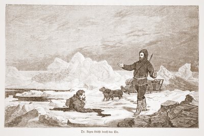 يسقط الدكتور ريبس من خلال الجليد ، 1876 بواسطة المدرسة النمساوية