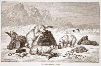 الدببة القطبية تهاجم أمتعتنا (الدببة القطبية تهاجم أمتعتنا) الحانة. فيينا 1876 (engaving) بواسطة المدرسة النمساوية