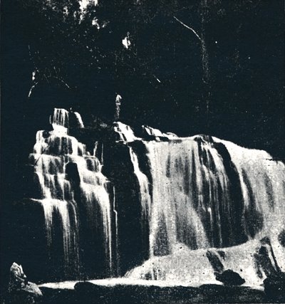 شلال على نهر جولدن لينكو ، 1895 بواسطة أكسل فريك