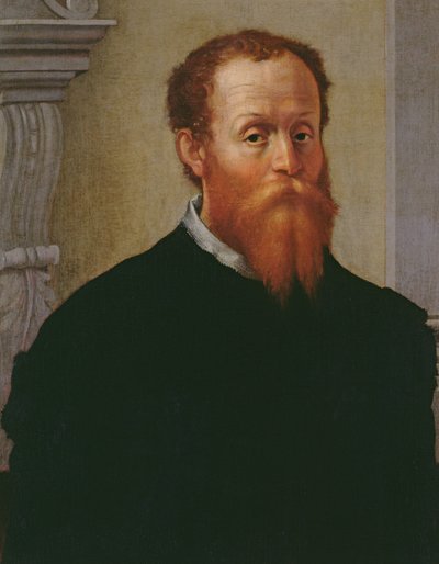 صورة شخصية ، c.1525-30 بواسطة باكيو باندينيلي