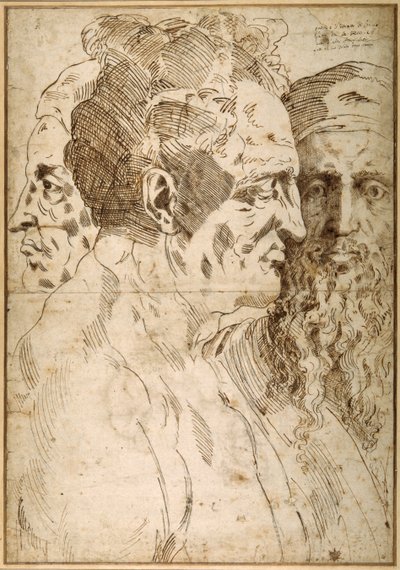 Three male heads juxtaposed (pen & brown ink and black chalk on paper) بواسطة باكيو باندينيلي