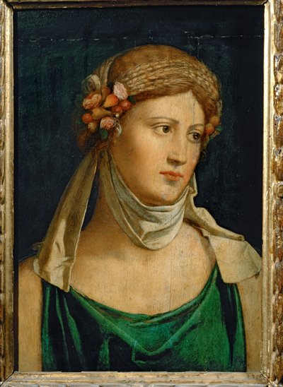 سيريس، آلهة الزراعة ... بواسطة Baldassarre Peruzzi