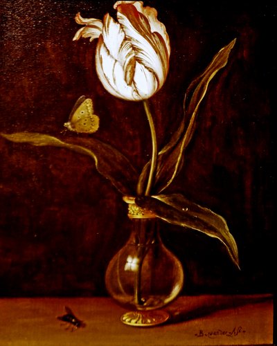  بواسطة Balthasar van der Ast