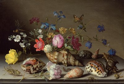 الزهور والأصداف والحشرات على الحافة الحجرية بواسطة Balthasar van der Ast