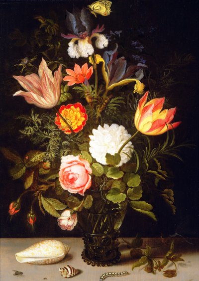لا تزال حياة الزهور في رومر مع قذيفتين بواسطة Balthasar van der Ast