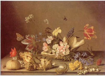  بواسطة Balthasar van der Ast