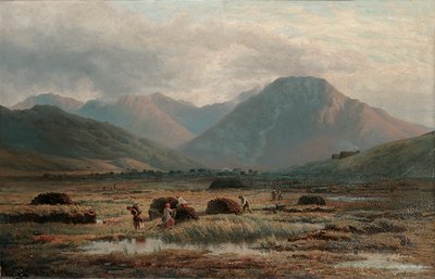 Peat Bog ، Letterfrack ، Connemara بواسطة بارثولوميو كوليز واتكينز