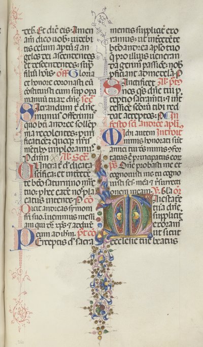 Missale: Fol. 260: أوراق الشجر مع الفاكهة ، 1469. بواسطة بارتولوميو كابورالي