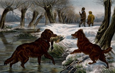 صيد البط البري بواسطة باسل برادلي