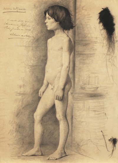  بواسطة Belmiro de Almeida