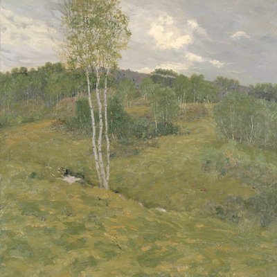 بيرش كلاد هيلز ، كاليفورنيا. 1908. بواسطة بن فوستر