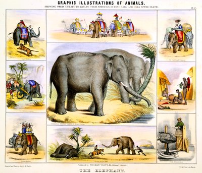 الفيل ، c1850 بواسطة بنيامين ووترهاوس هوكينز