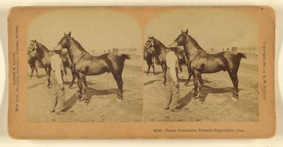 السيارات الفارهة، معرض تورونتو، كان. بواسطة بنيامين ويست كيلبورن