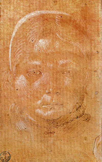 رأس فتاة صغيرة (طباشير وحبر على ورق) بواسطة Benozzo di Les di Sandro Gozzoli