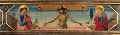صورة غير معروفة بواسطة Benozzo di Les di Sandro Gozzoli