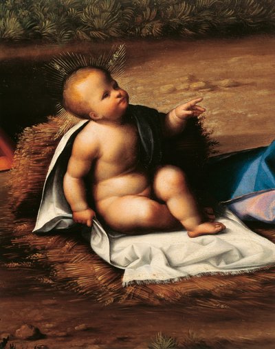الطفل يسوع ، تفاصيل من ميلاد جاروفالو (1481-1559) بواسطة Benvenuto Tisi da Garofalo