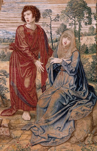 نسيج فلمنكي. سلسلة Dais of Charles V (Baldachin of Margaret of Austria). المسيح الرحمة (Cristo de la Misericordia). لوحة نسيج خلف المنصة. الموديل برنارد فان أورلي (1491-1542). مصنع Pieter de Pannemaker ، بروكسل. 1518-1524. قماش G بواسطة برنارد فان أورلي