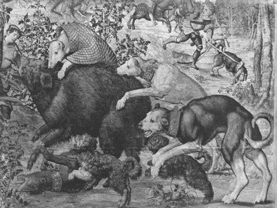 The Hunts of Maximilian ، Capricorn ، The Boar Hunt ، تفاصيل كلاب الصيد التي تهاجم الخنزير ، مصنع Gobelins انظر أيضًا 138999 ، 345944 نسيج bw photo بواسطة برنارد فان أورلي