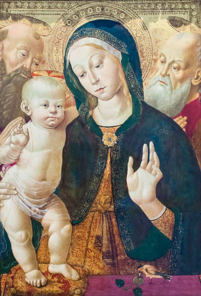 العذراء والطفل مع قديسين حوالي 1500 (زيت على لوح) بواسطة برناردينو فونجاي