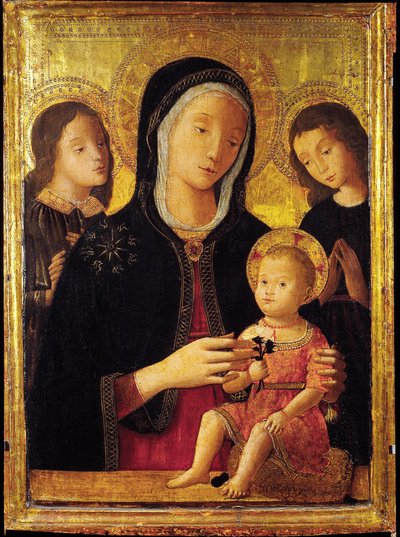 Virgin and Child with Two Angels (oil on wood) بواسطة برناردينو فونجاي