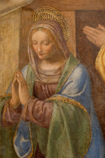 ميلاد وعبادة الرعاة ، ج. 1520-1525. التفاصيل (زيت على اللوح) بواسطة برناردينو لويني