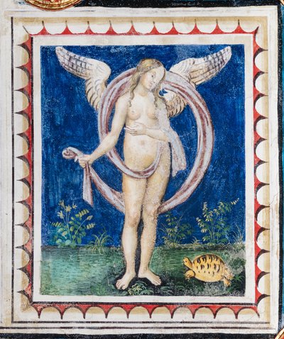مكتبة Piccolomini ، السقف ، لوحة مع استعارة بروفيدانس ، لوحة جدارية لبرناردينو دي بيتو ، المعروفة باسم Pinturicchio. بواسطة برناردينو دي بيتو بينتوريتشيو