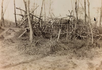 Album of the First World War in Friuli-Venezia Giulia: defensive obstacle (cavalli di Frisia), 05/1916 (b/w photo) بواسطة بيرتوني بيرتوني