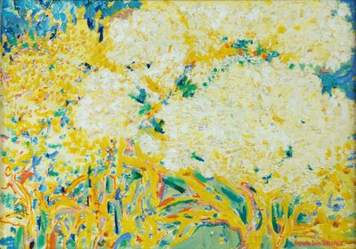 شجرة Elderflower بواسطة Brenda Brin Booker