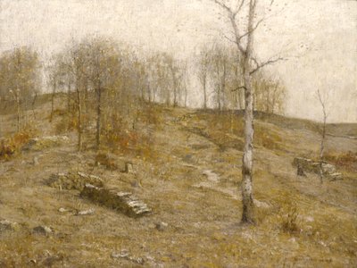مرتفعات ديسمبر ، 1919. بواسطة بروس كرين