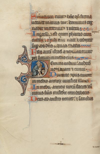 البداية د يهودي يجلب خبزاً لرجل في كهف بواسطة سيد بوت