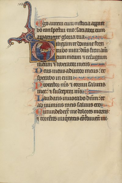 البداية د: شاب يسلم التاج لداود بواسطة سيد بوت