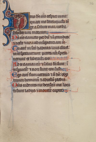 الأولي د الصلب بواسطة سيد بوت