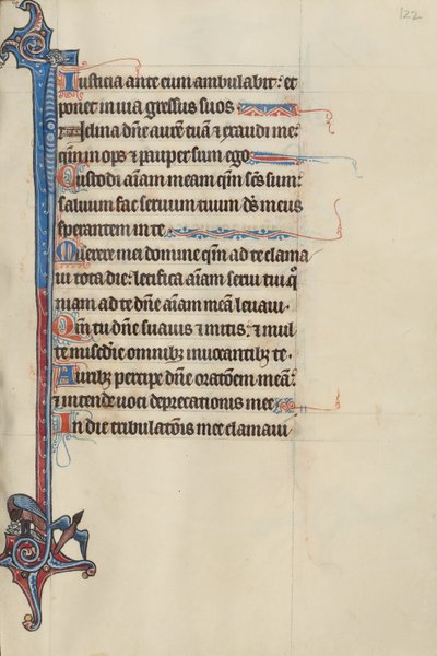 الأولي I: طائر يُطعم صغاره وطائر في الجو بواسطة سيد بوت