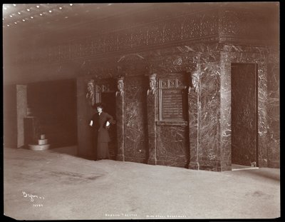 إيثيل باريمور في ردهة مسرح هدسون في نيويورك ، 1903 (طباعة الجيلاتين الفضي) بواسطة شركة بايرون